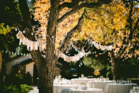 Backyard wedding decor