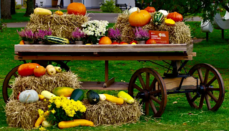 Fall wedding decor ideas