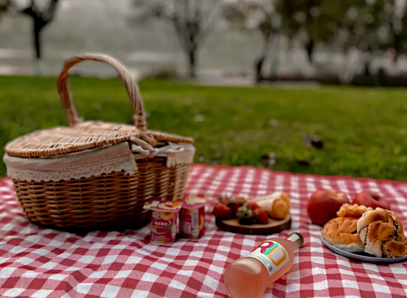 Romantic picnic in the park